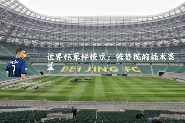 世界杯草坪技术：被忽视的战术变量